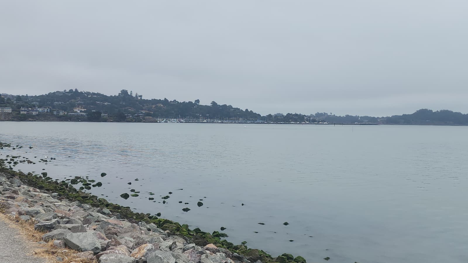 Yasicov L.A. Image # 3